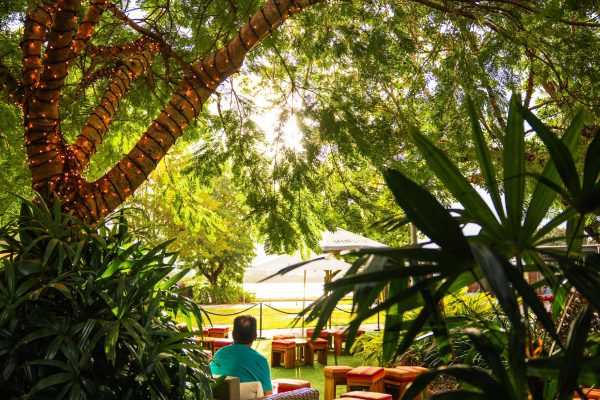 Garden afternoon